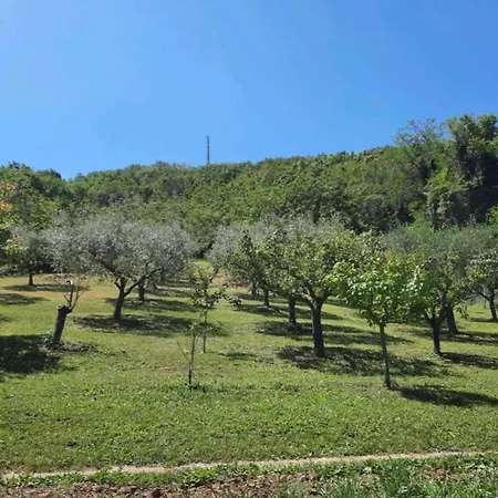 別荘 Stefania Rosciano